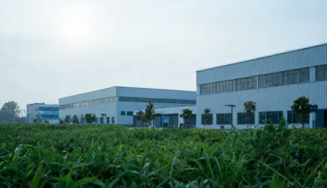 如何根据数据准确性选择展示方式